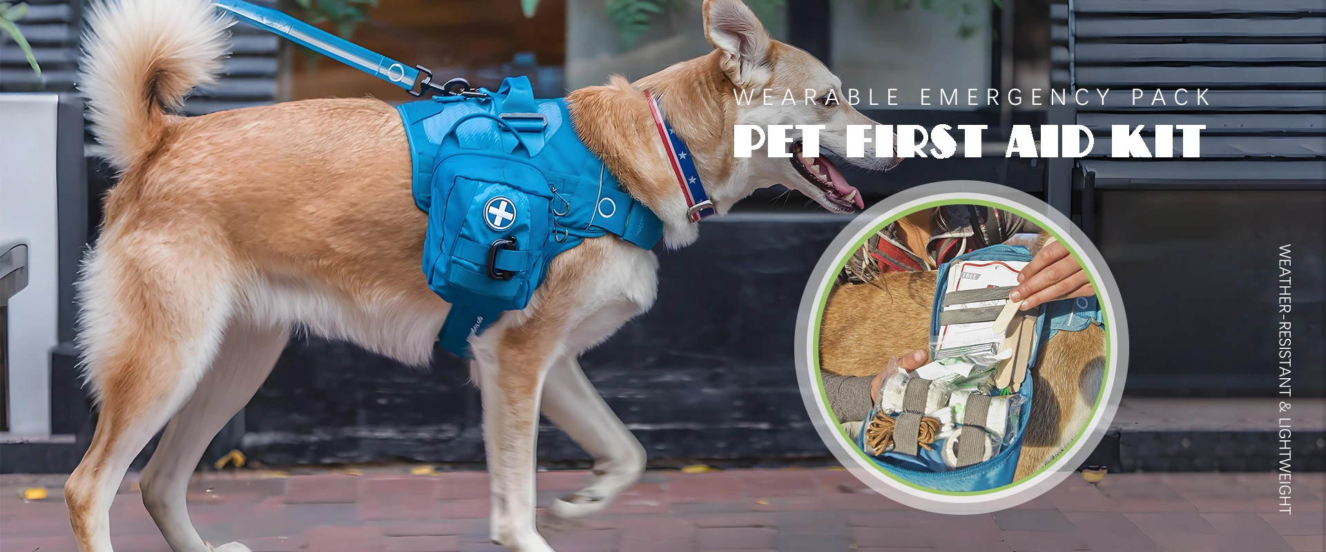 Fabrikant van de eerste hulpkit voor huisdieren